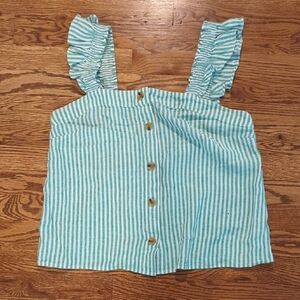 Striped Blue and White Button-Up Top J.Crew